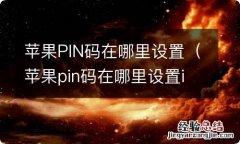 苹果pin码在哪里设置ios14 苹果PIN码在哪里设置