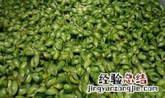 青绿颜色豆芽种植方法和时间 青绿颜色豆芽种植方法