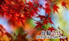 天气突然变冷的说说 天气突然变冷的说说集锦