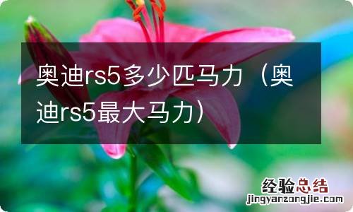 奥迪rs5最大马力 奥迪rs5多少匹马力