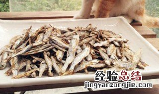 给猫做的小鱼干怎么保存时间长 给猫做的小鱼干怎么保存