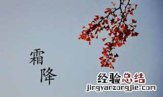 二十四节气之霜降介绍 二十四节气中霜降是什么意思啊