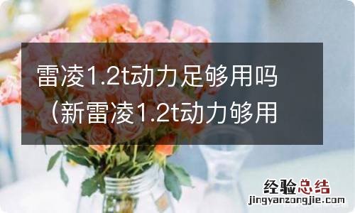 新雷凌1.2t动力够用吗 雷凌1.2t动力足够用吗