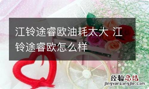 江铃途睿欧油耗太大 江铃途睿欧怎么样