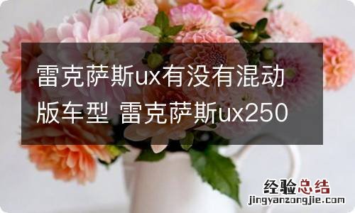 雷克萨斯ux有没有混动版车型 雷克萨斯ux250混动版