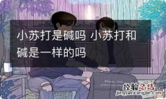 小苏打是碱吗 小苏打和碱是一样的吗