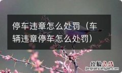 车辆违章停车怎么处罚 停车违章怎么处罚