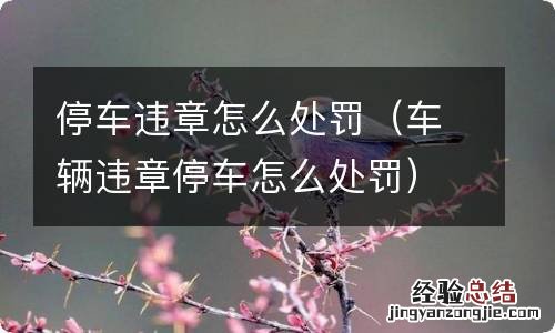 车辆违章停车怎么处罚 停车违章怎么处罚