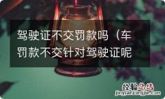 车罚款不交针对驾驶证呢还是车主呢 驾驶证不交罚款吗