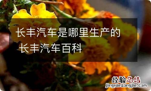 长丰汽车是哪里生产的 长丰汽车百科