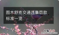 图木舒克交通违章罚款标准一览