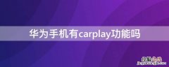 华为手机有carplay功能吗 华为连接车载carplay