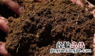 哪些植物不能用椰糠 哪些植物是不能用椰糠