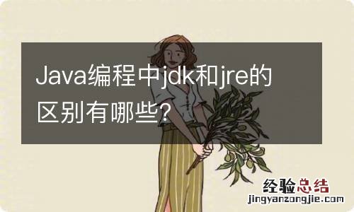 Java编程中jdk和jre的区别有哪些？