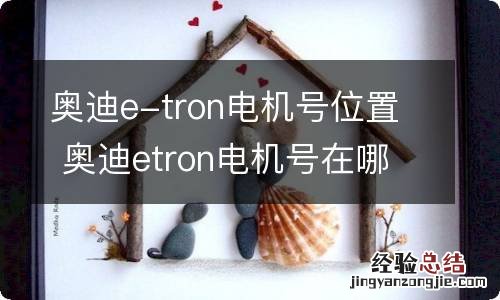 奥迪e-tron电机号位置 奥迪etron电机号在哪