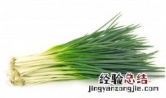 葱子的种植方法和时间 葱子怎么种植方法和时间