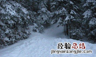 梦见下雪男性 梦见下雪