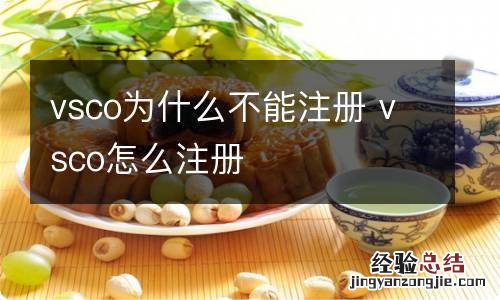 vsco为什么不能注册 vsco怎么注册