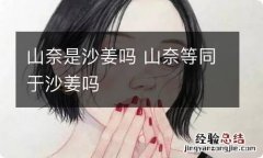 山奈是沙姜吗 山奈等同于沙姜吗