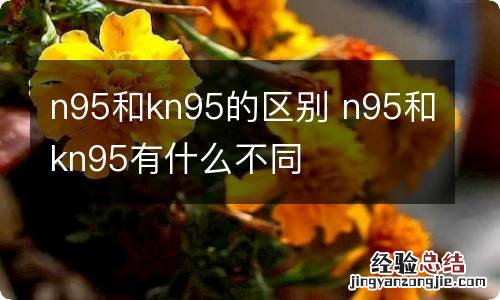 n95和kn95的区别 n95和kn95有什么不同