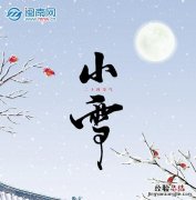 小雪唯美文案 小雪文案短句干净治愈