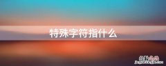 特殊字符指什么