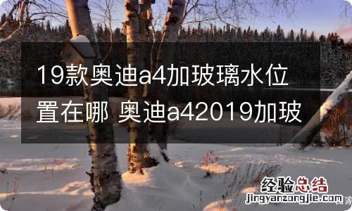 19款奥迪a4加玻璃水位置在哪 奥迪a42019加玻璃水位置图