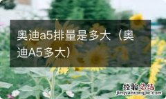 奥迪A5多大 奥迪a5排量是多大