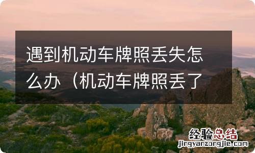 机动车牌照丢了怎么办 遇到机动车牌照丢失怎么办