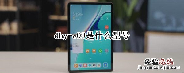 dby-w09是什么型号 dby-w09是什么型号多少钱