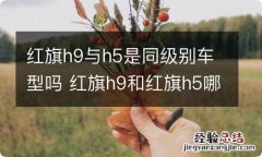 红旗h9与h5是同级别车型吗 红旗h9和红旗h5哪个好