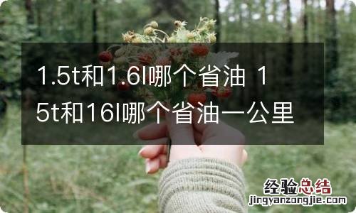 1.5t和1.6l哪个省油 15t和16l哪个省油一公里多少钱