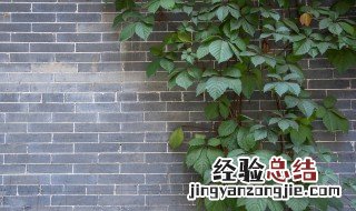 墙体如何做防晒 墙面防晒有什么好办法