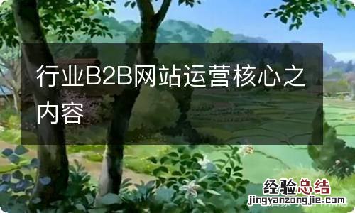 行业B2B网站运营核心之内容