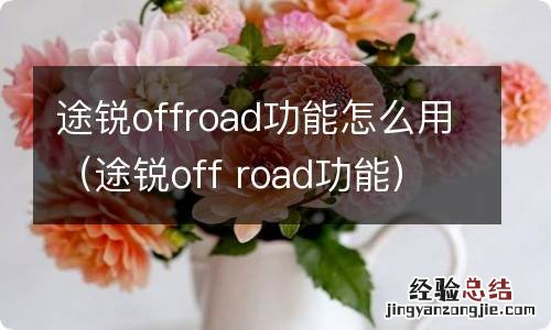途锐off road功能 途锐offroad功能怎么用