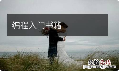 编程入门书籍