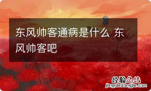 东风帅客通病是什么 东风帅客吧