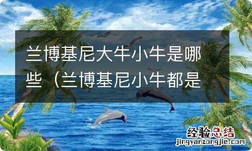 兰博基尼小牛都是哪些 兰博基尼大牛小牛是哪些