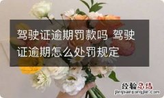 驾驶证逾期罚款吗 驾驶证逾期怎么处罚规定