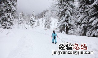 暴风雪有几级 暴风雪有几级学