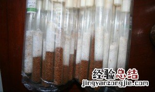 菌种的短期保存方法是 菌种的短期保存方法