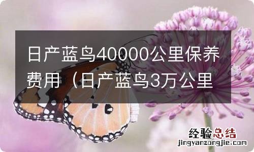 日产蓝鸟3万公里保养项目及价格 日产蓝鸟40000公里保养费用