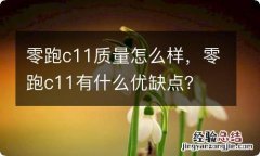 零跑c11质量怎么样，零跑c11有什么优缺点？