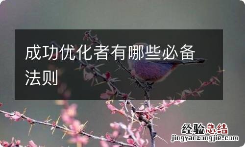 成功优化者有哪些必备法则