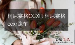 柯尼赛格CCXR 柯尼赛格ccxr跑车