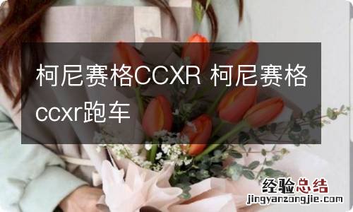柯尼赛格CCXR 柯尼赛格ccxr跑车
