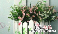 假花怎么清洗视频 假花怎么清洗