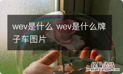 wev是什么 wev是什么牌子车图片