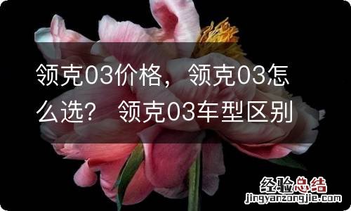 领克03价格，领克03怎么选？ 领克03车型区别