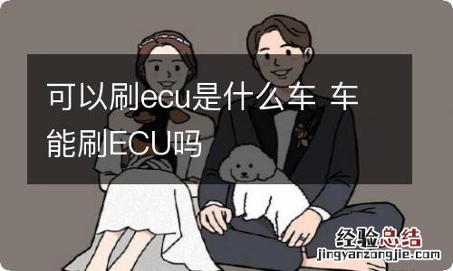 可以刷ecu是什么车 车能刷ECU吗